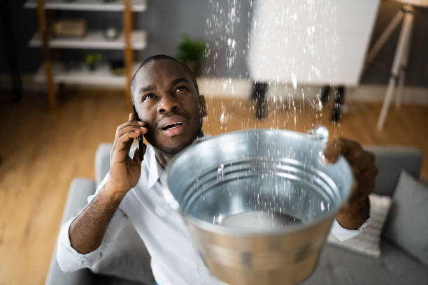 Best Water damage contractors near me  in Boonton, NJ