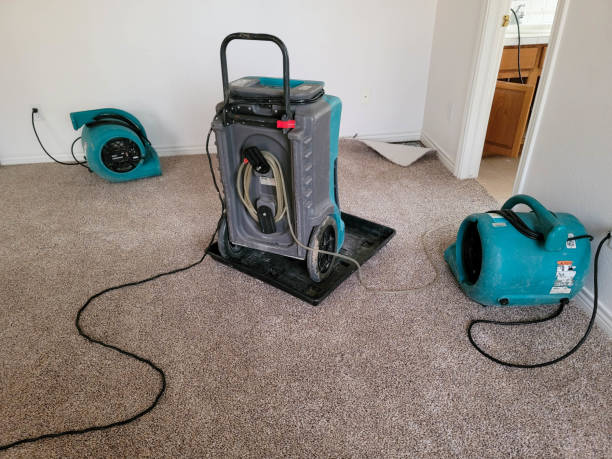 Best Local water damage restoration  in Boonton, NJ