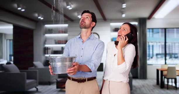 Best Flood damage cleanup  in Boonton, NJ