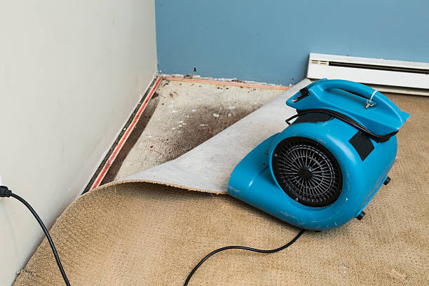 Best Water damage repair service  in Boonton, NJ